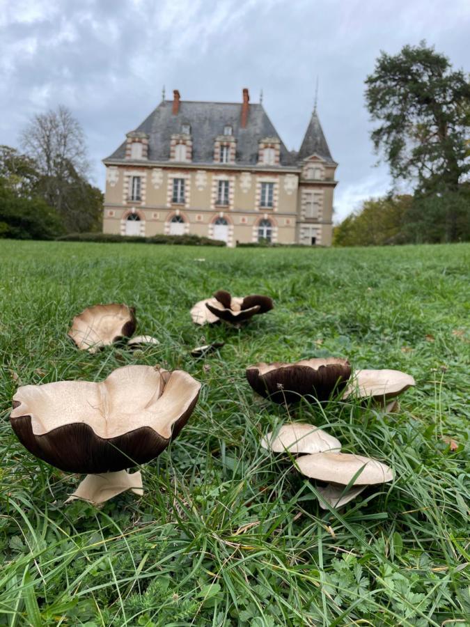 Chateau De Praslins Nogent-sur-Vernisson Exterior photo
